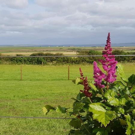 Lilly'S Lodges Orkney Butterfly Lodge Finstown Exterior foto