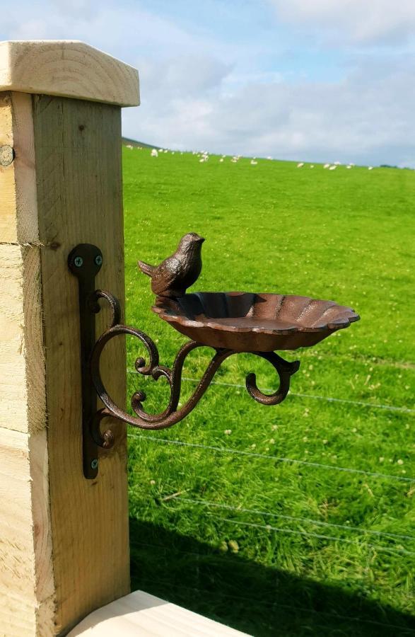 Lilly'S Lodges Orkney Butterfly Lodge Finstown Exterior foto