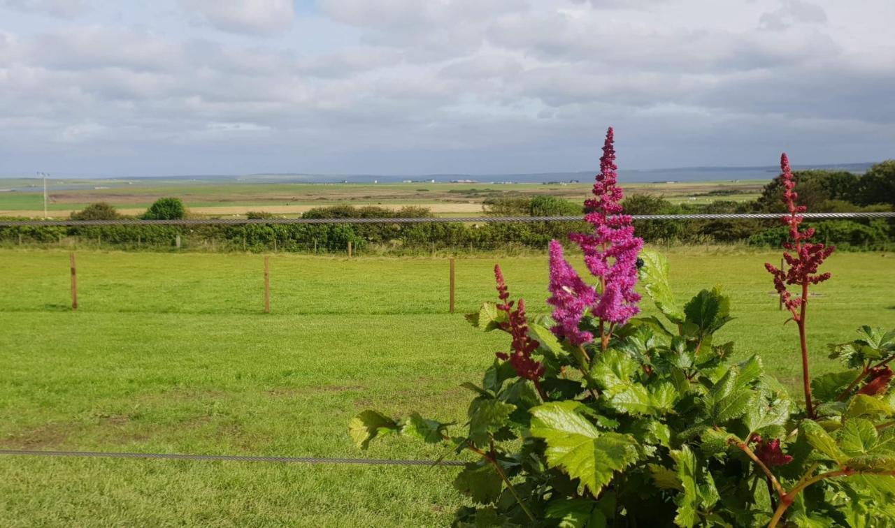 Lilly'S Lodges Orkney Butterfly Lodge Finstown Exterior foto
