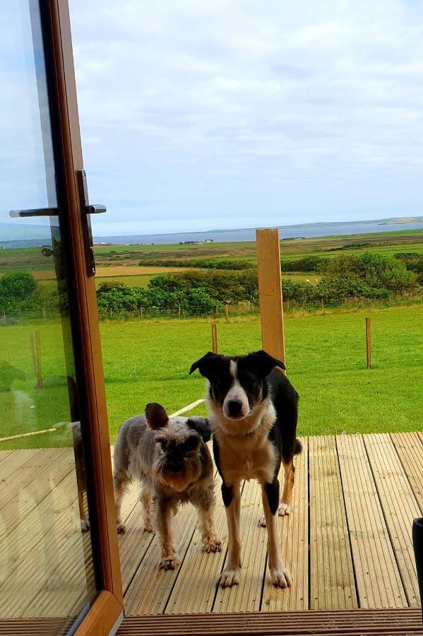 Lilly'S Lodges Orkney Butterfly Lodge Finstown Exterior foto